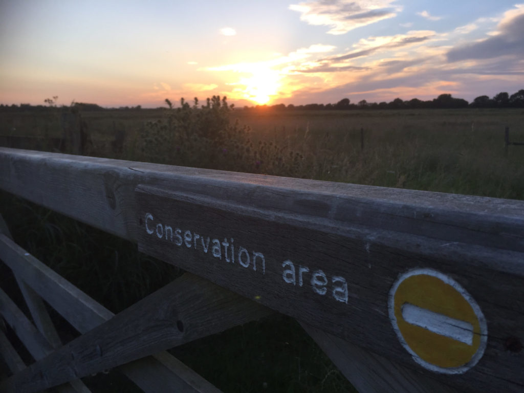 2015-RSPB-Otmoor-sunset