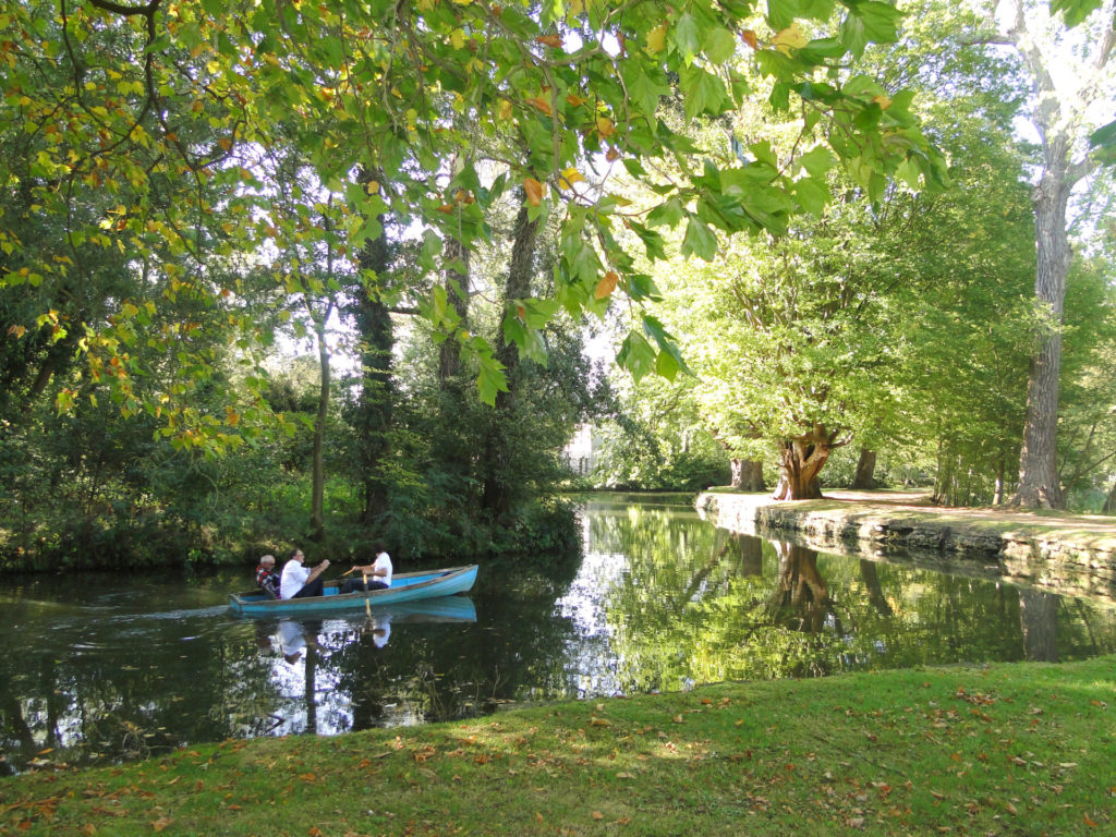 people in a rowing boat in the River Thames in Oxford