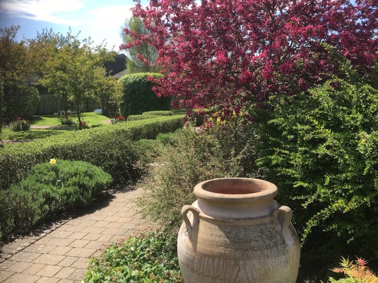 Sunny Courtyard Garden