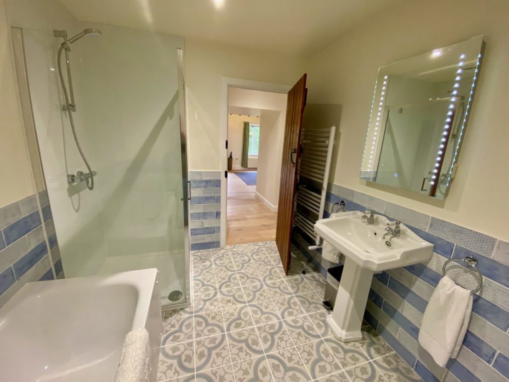 2020 Teal Family Bathroom with Shower